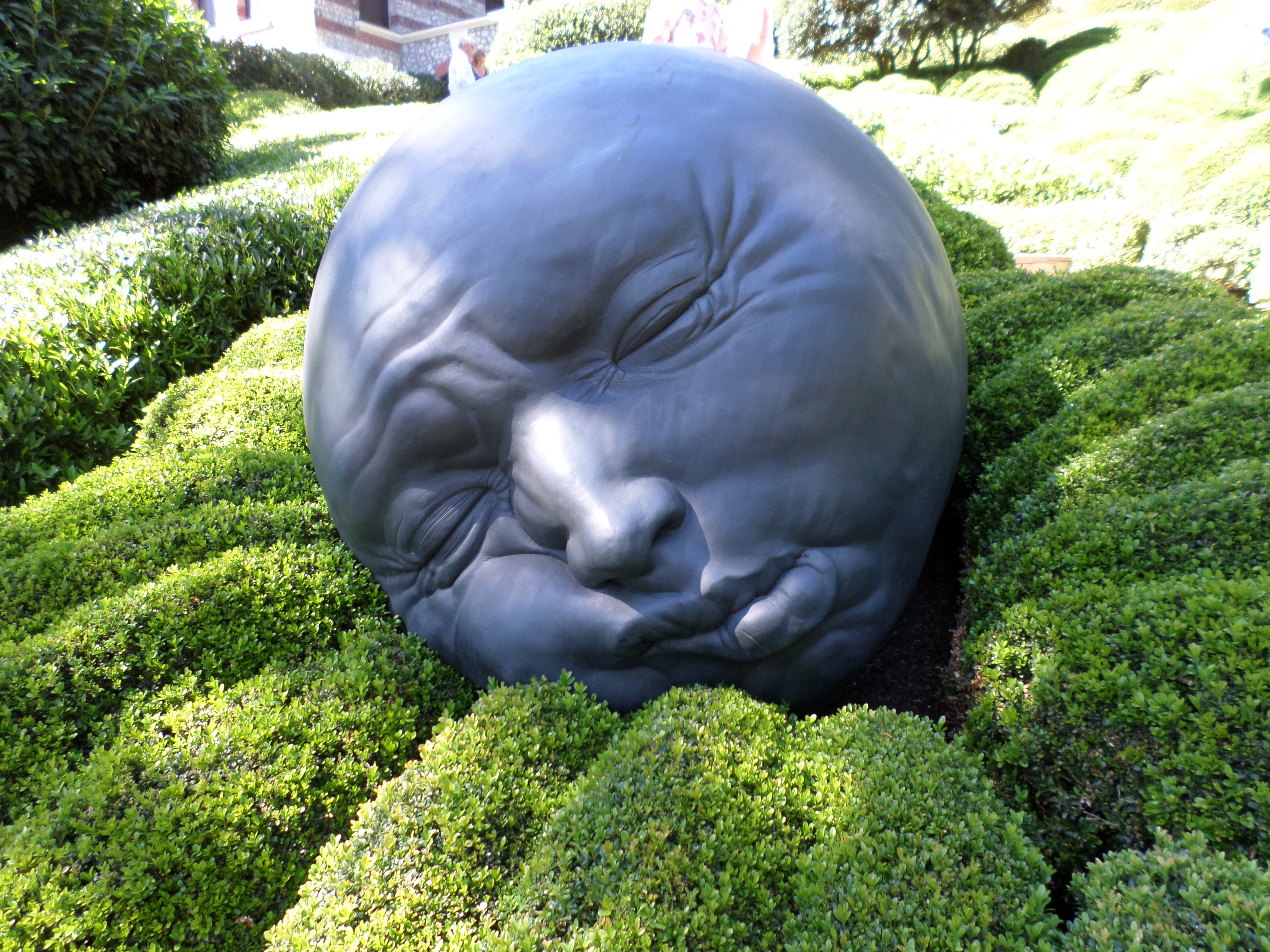 SAMSUNG CAMERA PICTURES