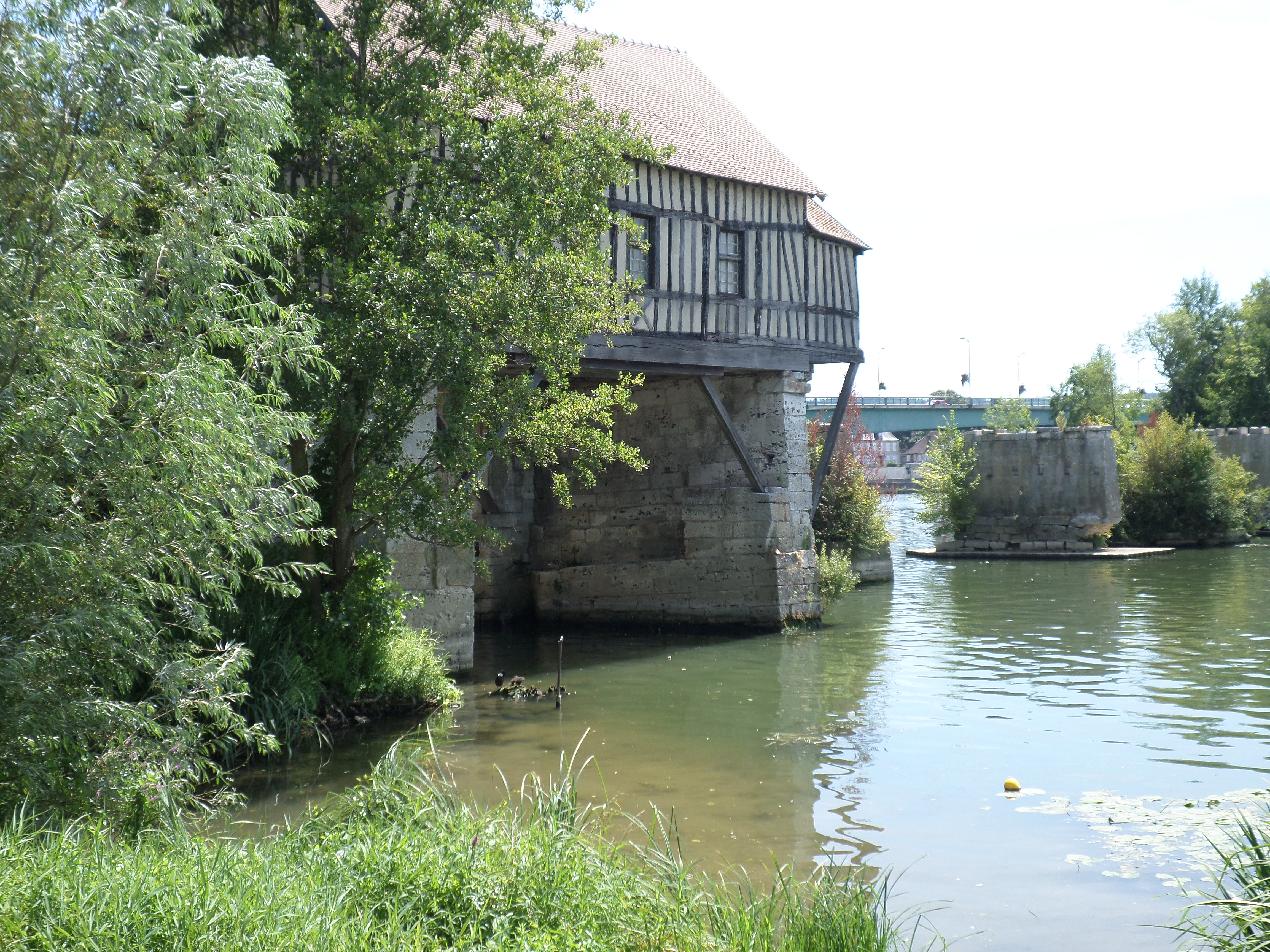 SAMSUNG CAMERA PICTURES